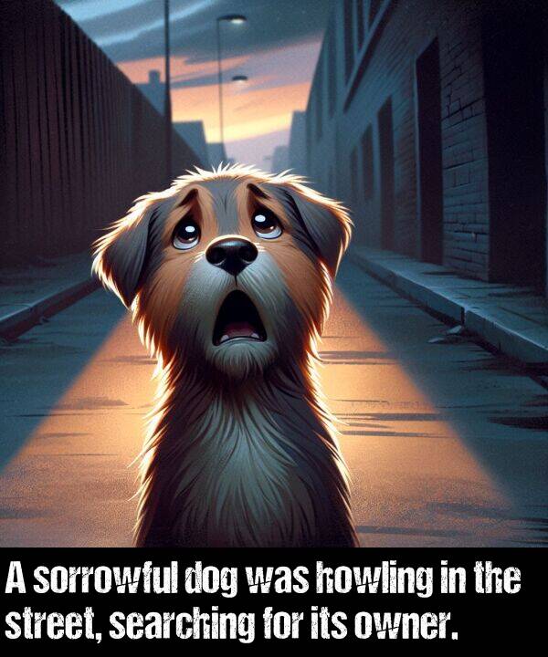 owner: A sorrowful dog was howling in the street, searching for its owner.