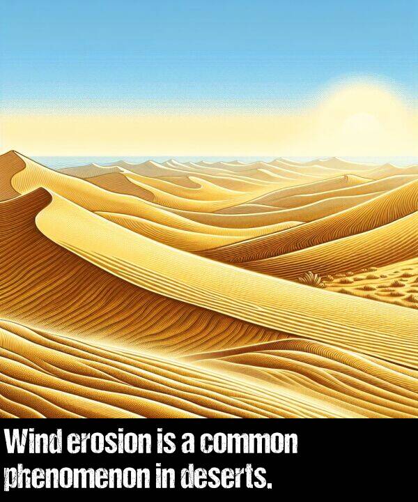 common: Wind erosion is a common phenomenon in deserts.