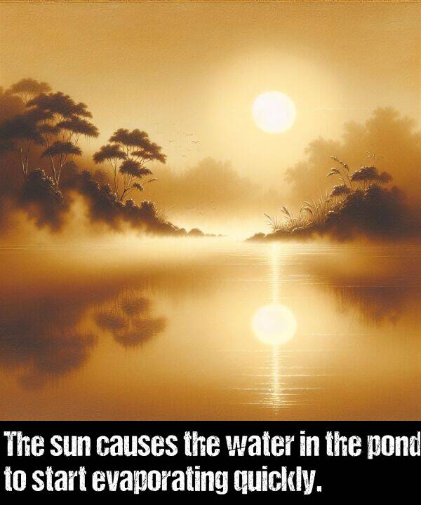 start: The sun causes the water in the pond to start evaporating quickly.