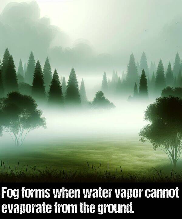 cannot: Fog forms when water vapor cannot evaporate from the ground.