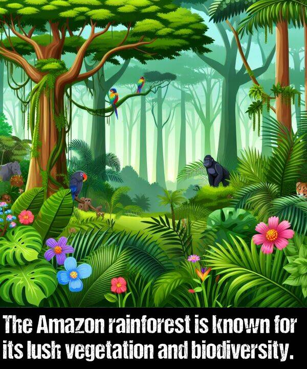 biodiversity: The Amazon rainforest is known for its lush vegetation and biodiversity.