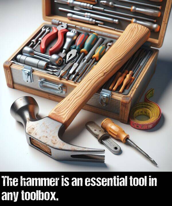 essential: The hammer is an essential tool in any toolbox.