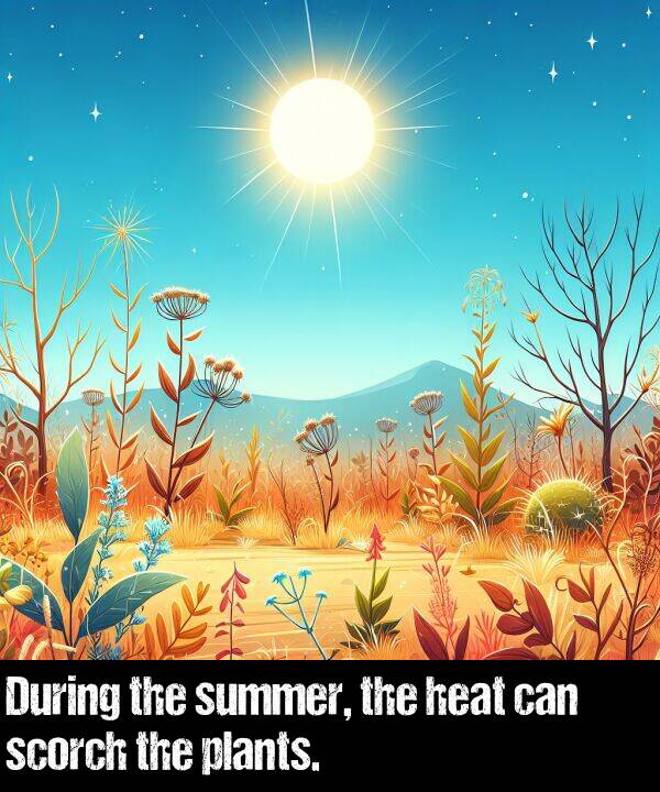 heat: During the summer, the heat can scorch the plants.