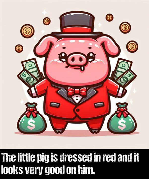 good: The little pig is dressed in red and it looks very good on him.