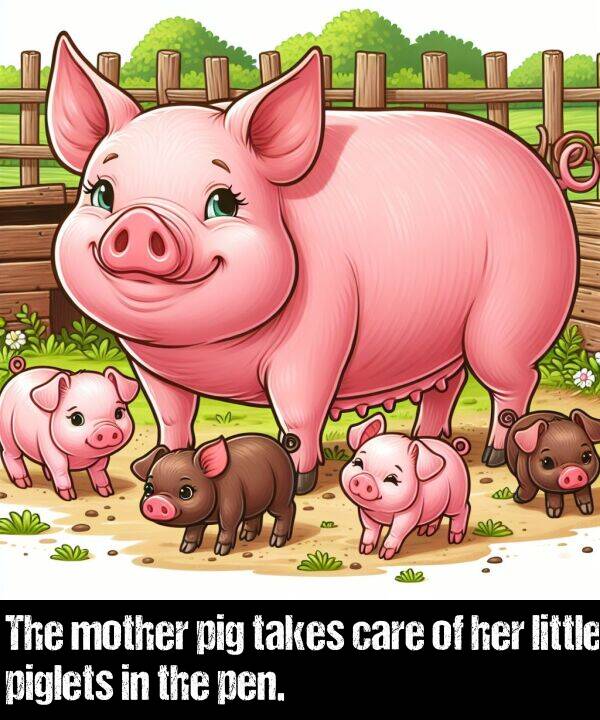 takes: The mother pig takes care of her little piglets in the pen.