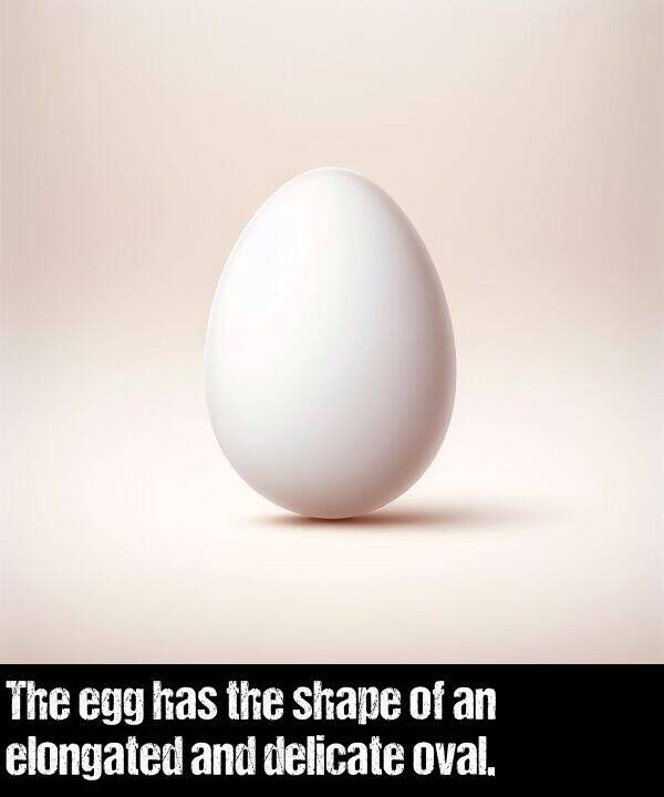 oval: The egg has the shape of an elongated and delicate oval.