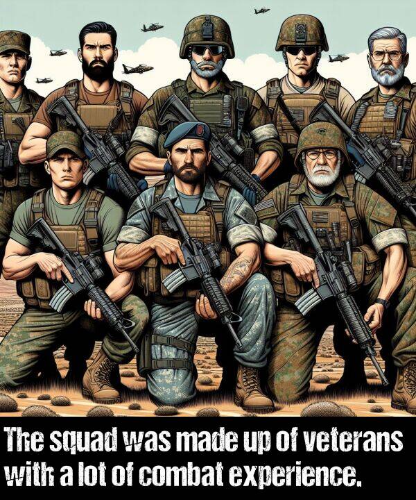 combat: The squad was made up of veterans with a lot of combat experience.