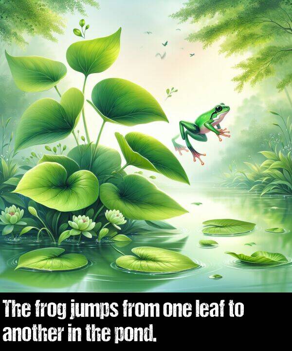 another: The frog jumps from one leaf to another in the pond.