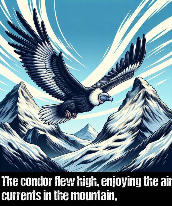 air: The condor flew high, enjoying the air currents in the mountain.