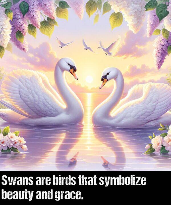 birds: Swans are birds that symbolize beauty and grace.