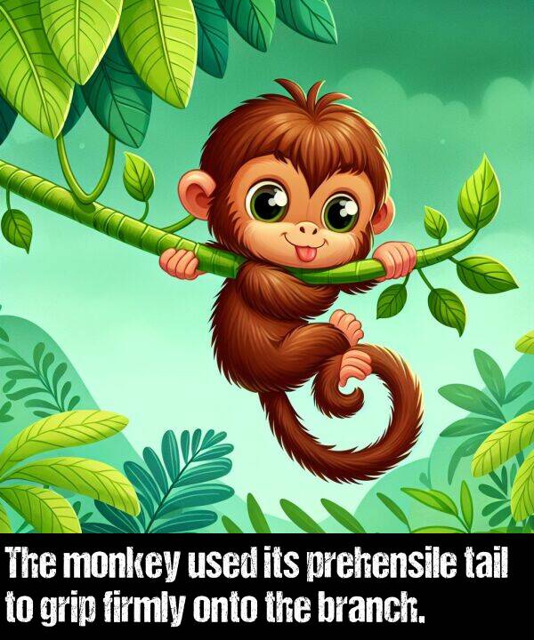 branch: The monkey used its prehensile tail to grip firmly onto the branch.