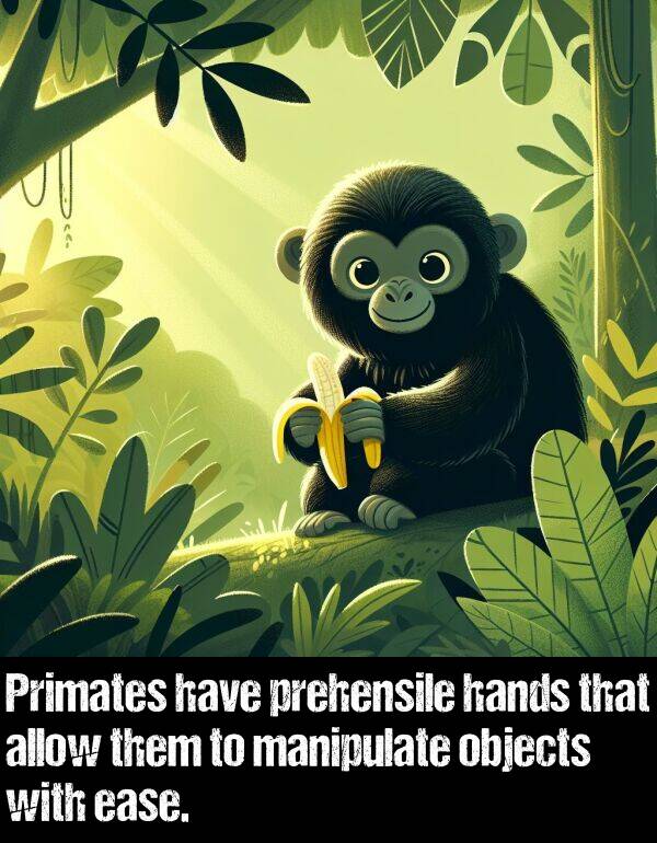 allow: Primates have prehensile hands that allow them to manipulate objects with ease.