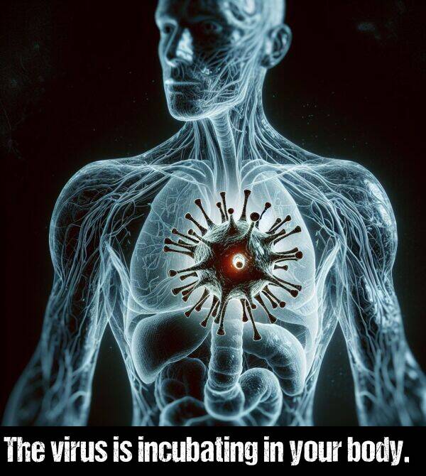 your: The virus is incubating in your body.