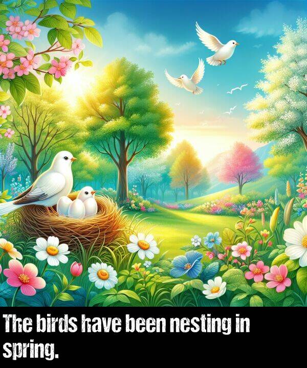 birds: The birds have been nesting in spring.