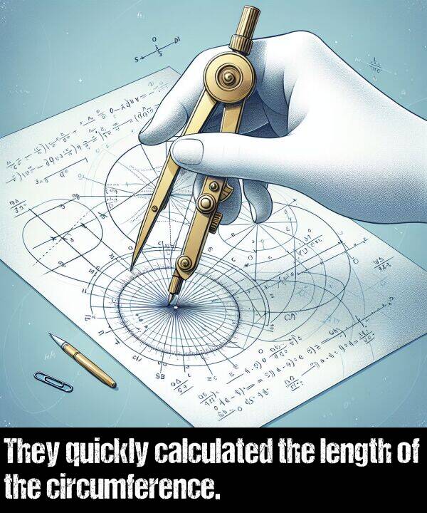 calculated: They quickly calculated the length of the circumference.