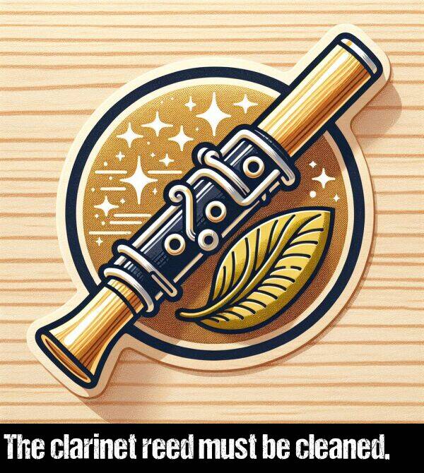 reed: The clarinet reed must be cleaned.