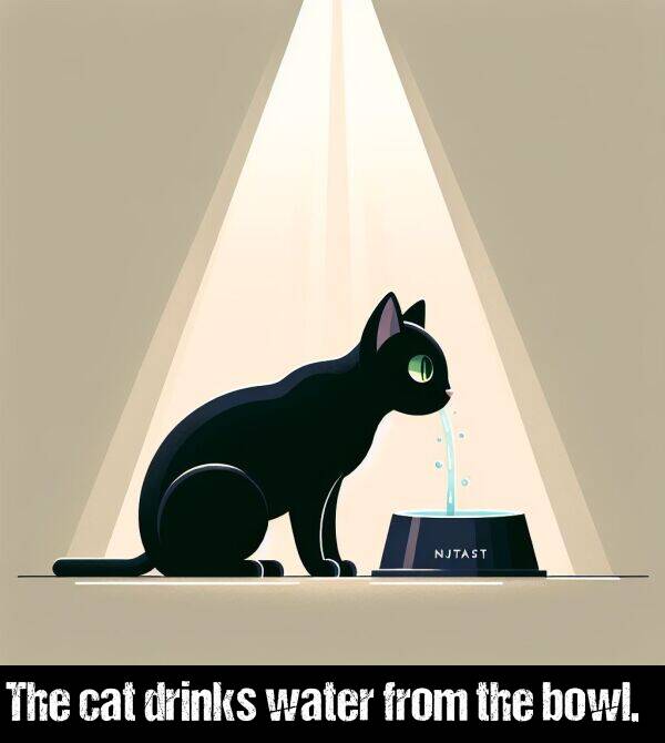 the: The cat drinks water from the bowl.