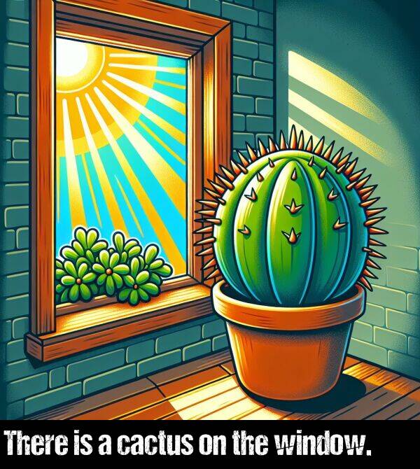 window: There is a cactus on the window.