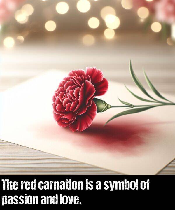 love: The red carnation is a symbol of passion and love.