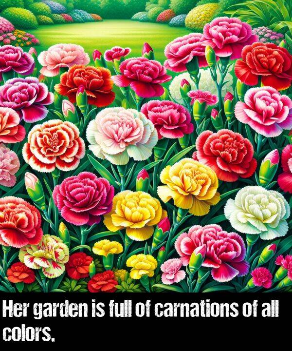 garden: Her garden is full of carnations of all colors.