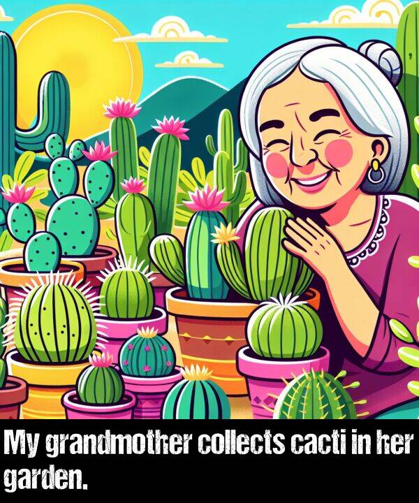 garden: My grandmother collects cacti in her garden.