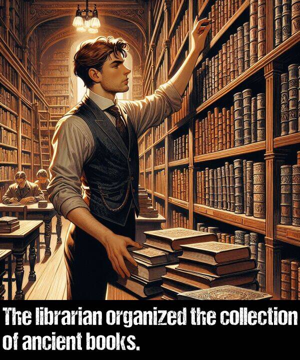 librarian: The librarian organized the collection of ancient books.