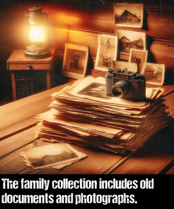 includes: The family collection includes old documents and photographs.