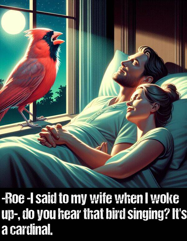 bird: -Roe -I said to my wife when I woke up-, do you hear that bird singing? It's a cardinal.