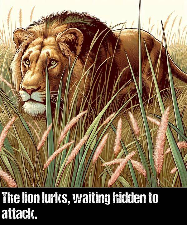 lion: The lion lurks, waiting hidden to attack.