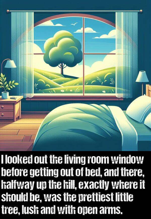 be: I looked out the living room window before getting out of bed, and there, halfway up the hill, exactly where it should be, was the prettiest little tree, lush and with open arms.