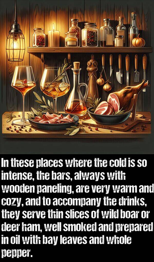 places: In these places where the cold is so intense, the bars, always with wooden paneling, are very warm and cozy, and to accompany the drinks, they serve thin slices of wild boar or deer ham, well smoked and prepared in oil with bay leaves and whole pepper.