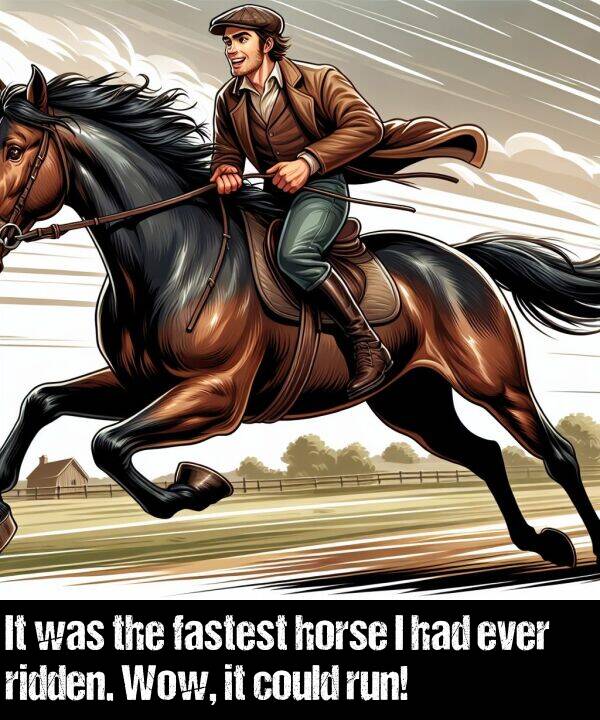 ever: It was the fastest horse I had ever ridden. Wow, it could run!