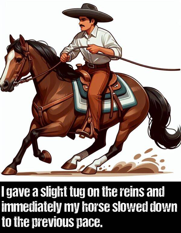 gave: I gave a slight tug on the reins and immediately my horse slowed down to the previous pace.