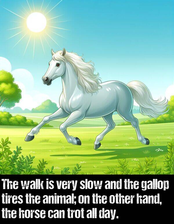 hand: The walk is very slow and the gallop tires the animal; on the other hand, the horse can trot all day.