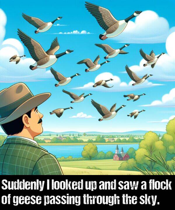 sky: Suddenly I looked up and saw a flock of geese passing through the sky.