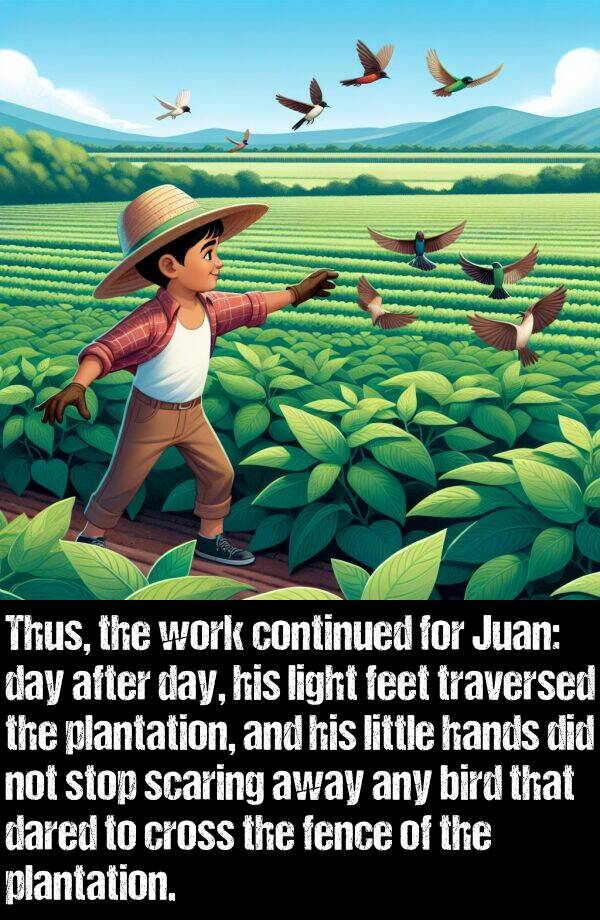 after: Thus, the work continued for Juan: day after day, his light feet traversed the plantation, and his little hands did not stop scaring away any bird that dared to cross the fence of the plantation.