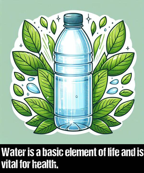 vital: Water is a basic element of life and is vital for health.