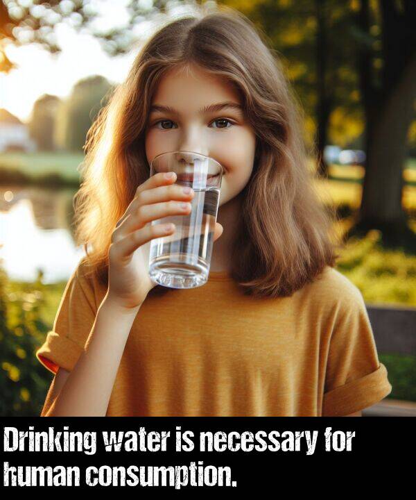 necessary: Drinking water is necessary for human consumption.