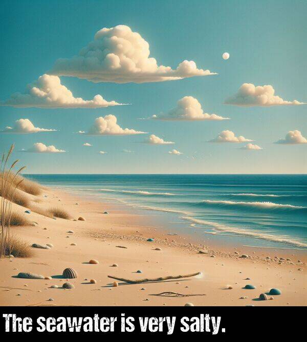 salty: The seawater is very salty.