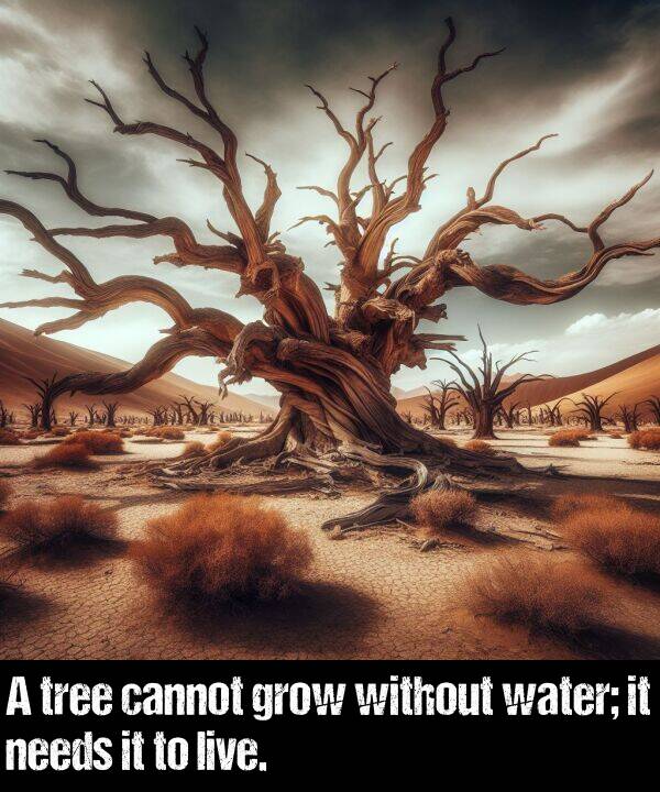 tree: A tree cannot grow without water; it needs it to live.