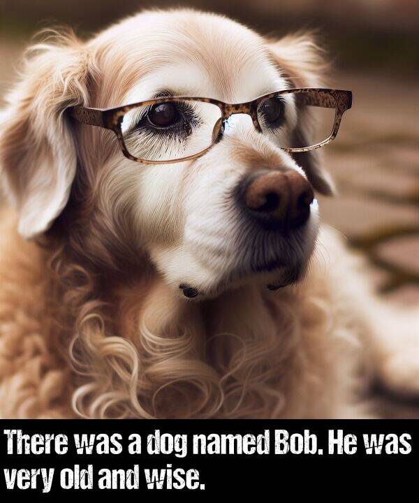 wise: There was a dog named Bob. He was very old and wise.