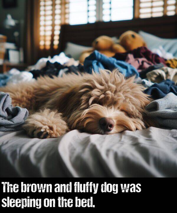 brown: The brown and fluffy dog was sleeping on the bed.