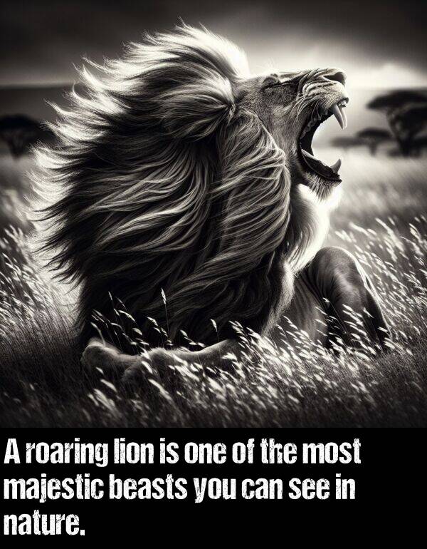 beasts: A roaring lion is one of the most majestic beasts you can see in nature.