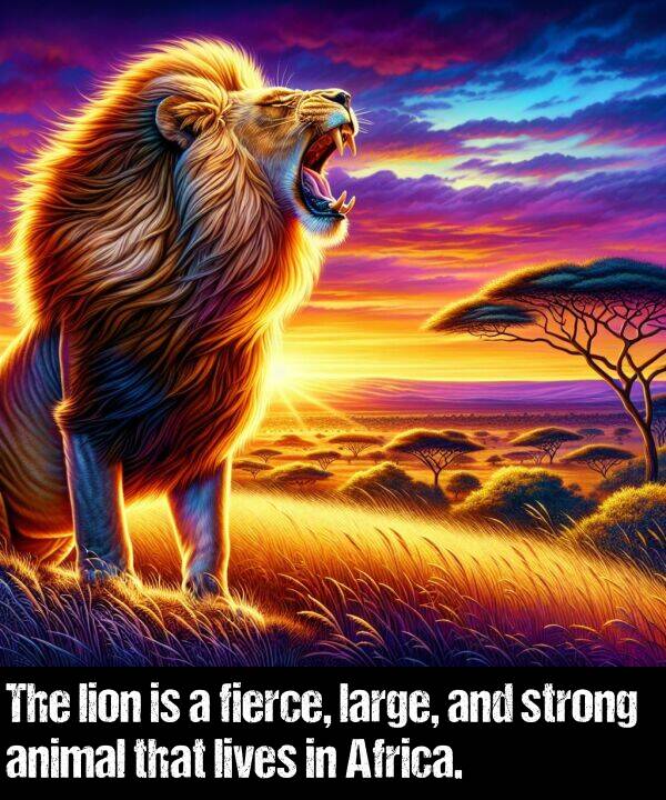 lives: The lion is a fierce, large, and strong animal that lives in Africa.