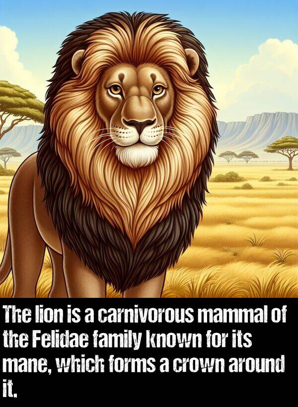 lion: The lion is a carnivorous mammal of the Felidae family known for its mane, which forms a crown around it.