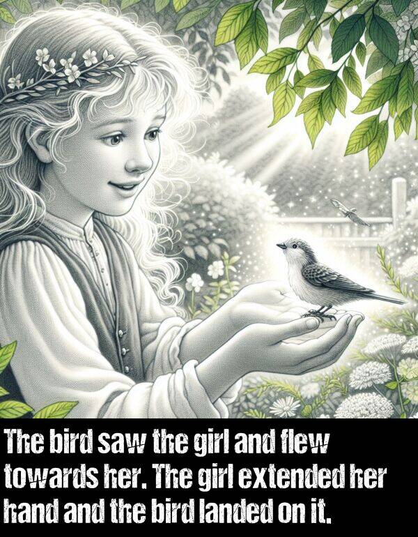 bird: The bird saw the girl and flew towards her. The girl extended her hand and the bird landed on it.