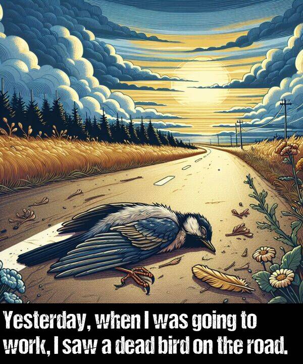 bird: Yesterday, when I was going to work, I saw a dead bird on the road.