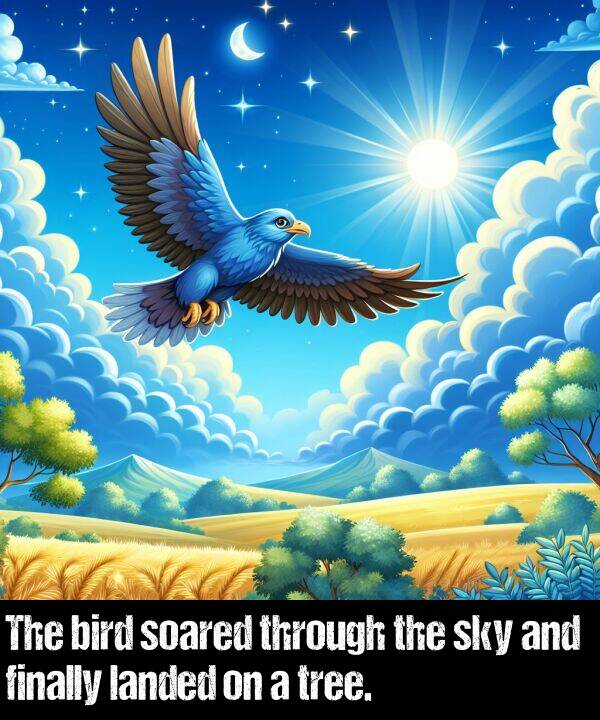 bird: The bird soared through the sky and finally landed on a tree.