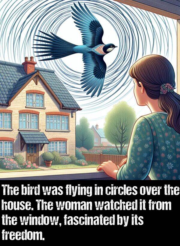 window: The bird was flying in circles over the house. The woman watched it from the window, fascinated by its freedom.