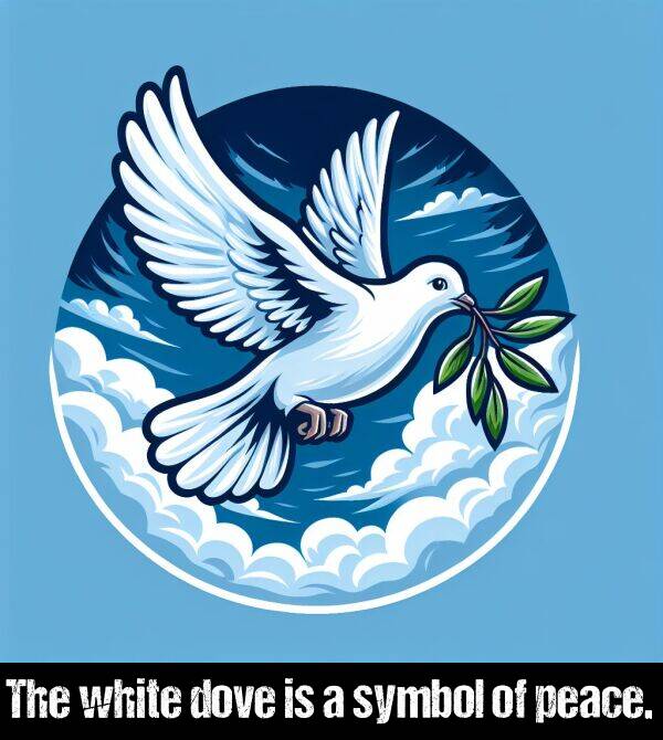 peace: The white dove is a symbol of peace.